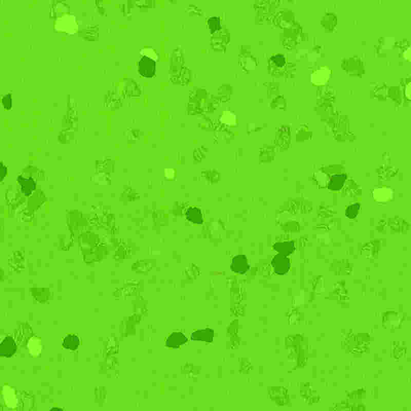 Urlár rubair scratchproof & ard-leaisteachas