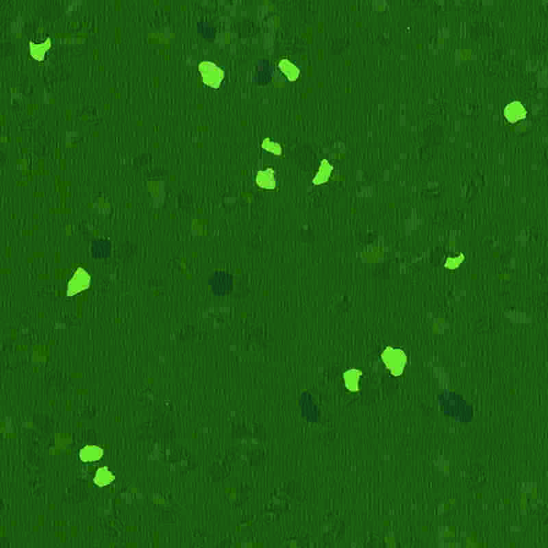 Urlár rubair scratchproof & ard-leaisteachas