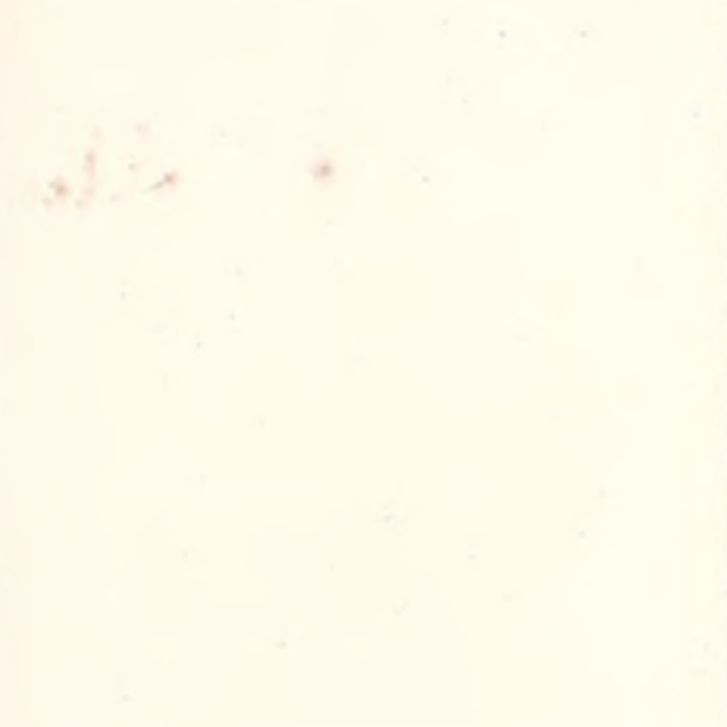 Inoiriúnaitheacht ard & urláir rubair gan uaim